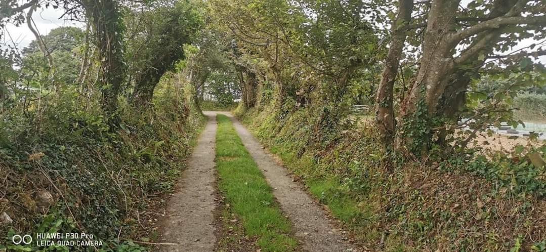 Rosebud Flower Farm Caravan Stay Countryside And Coast Penzance Exterior photo